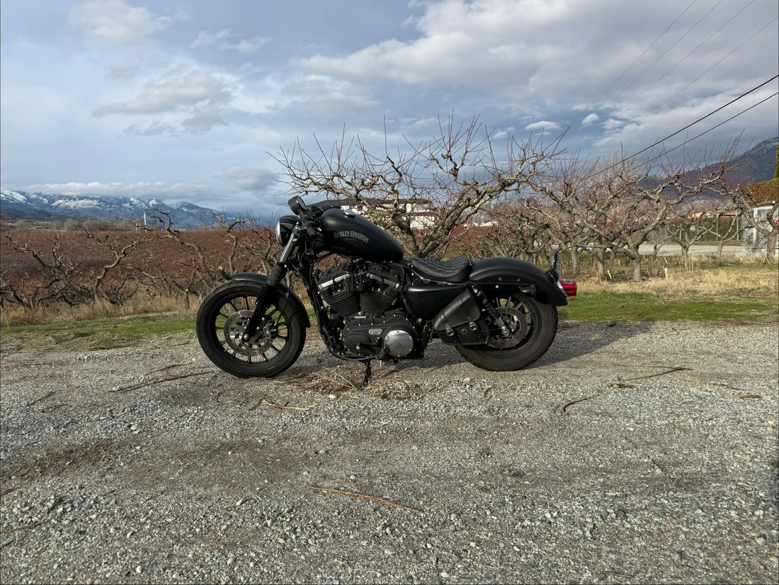 2014 Sportster Iron 883 Custom